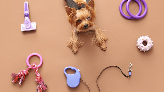 Unleash The Fun: Choosing The Perfect Toy For Your Furry Friend