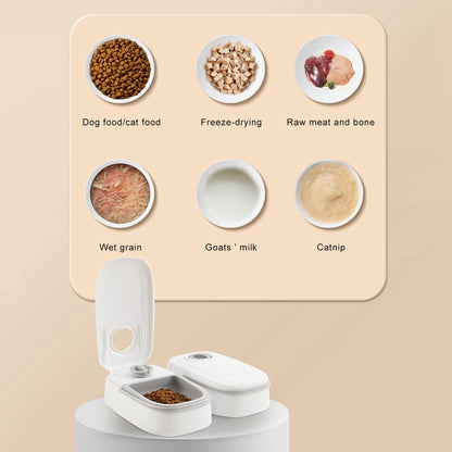 Smart Automatic Feeder with Timer