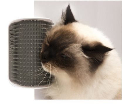 Self-Grooming Brush Wall Rubbing Device