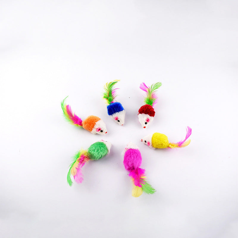 Multicolor Cat Toy Set