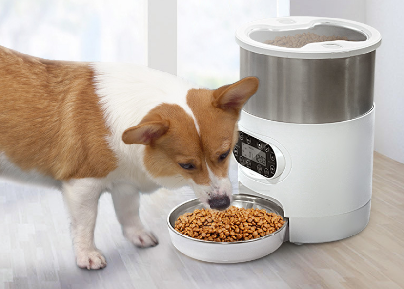 Automatic Dispenser with Stainless Steel Bowl