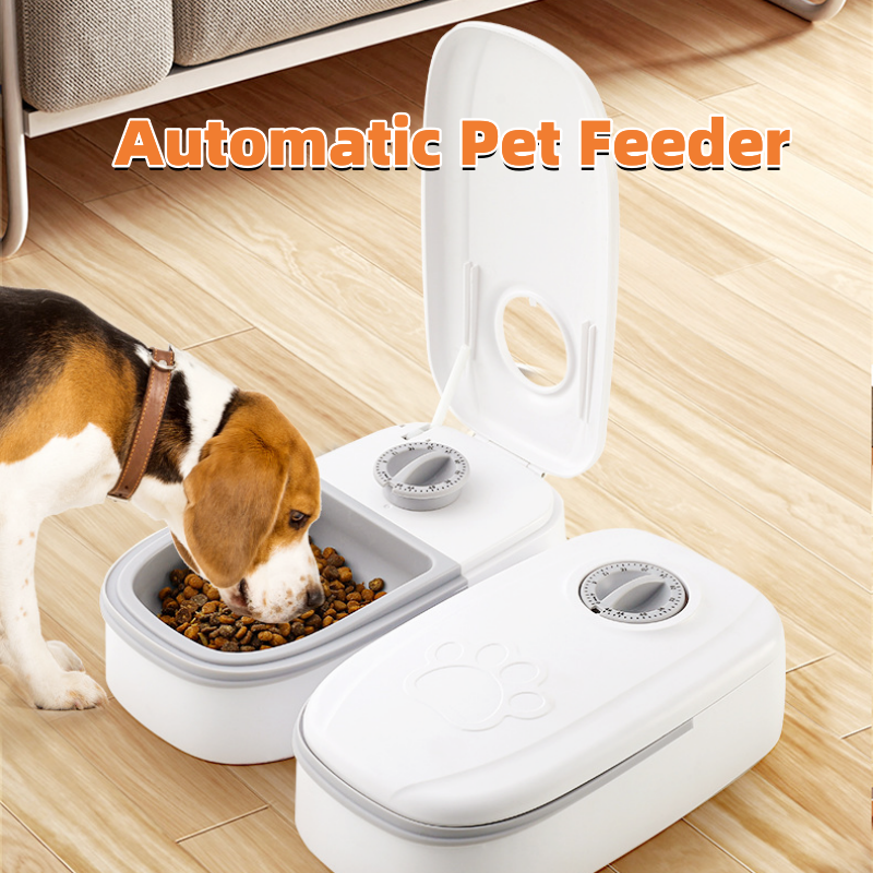 Smart Automatic Feeder with Timer