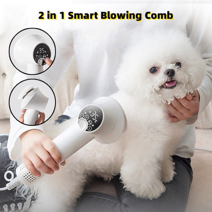 Smart Hair Dryer